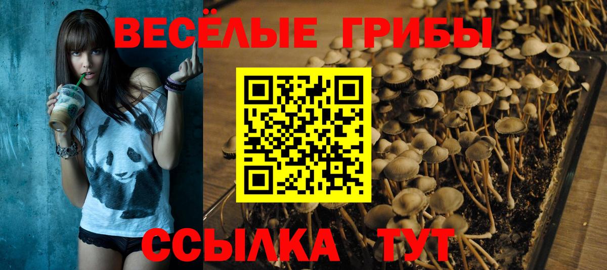 Галлюциногенные грибы прущие грибы Воскресенск